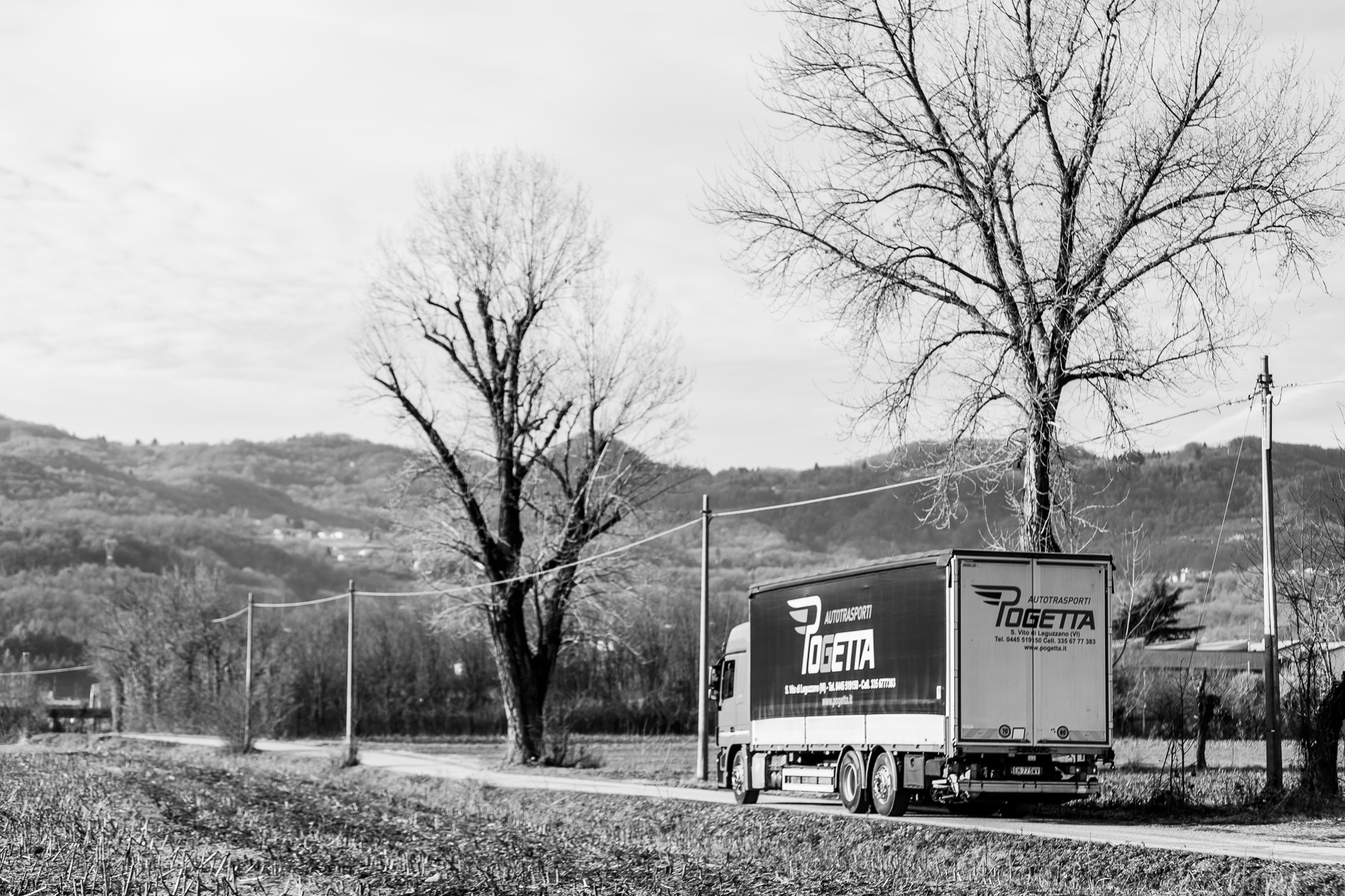 Azienda